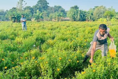 आर्थिक उपार्जन गर्न फूल व्यवसाय